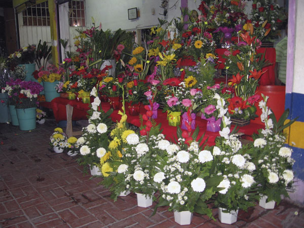 Flower shop in downtown Zihuatanejo