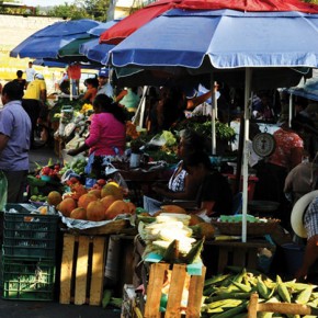 Small farmers' market behind the mercado in Zihuatanejo.