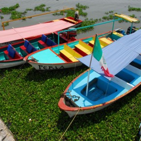 Lake Chapala Boats