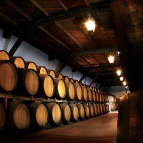 Barrels of wine at Casa Madero winery