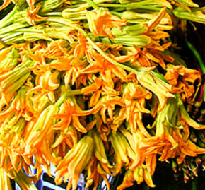 Recipe: Bean and Squash Blossom Quesadillas